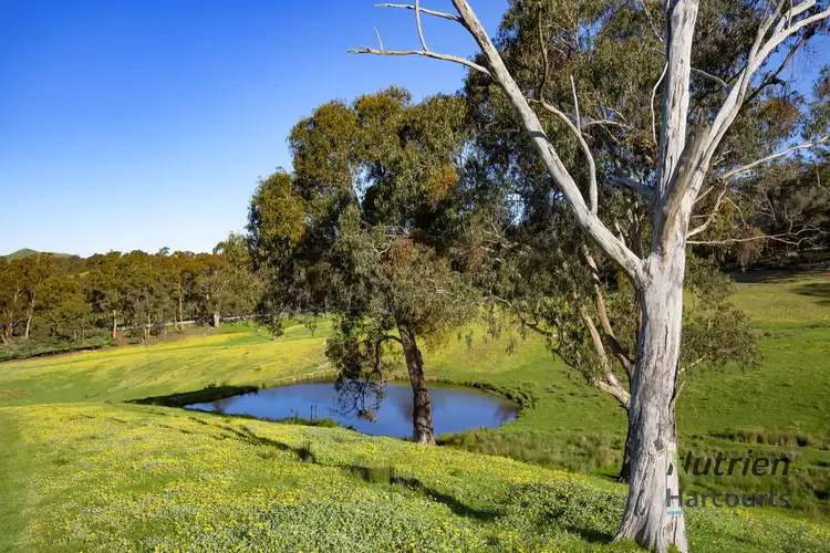 Seventh view of Homely rural property listing, 1409 Broadford-Flowerdale Road, Strath Creek VIC 3658