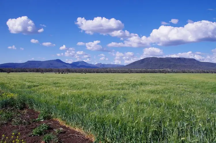 Fifth view of Homely rural property listing, 316 Spring Creek Road, Narrabri NSW 2390