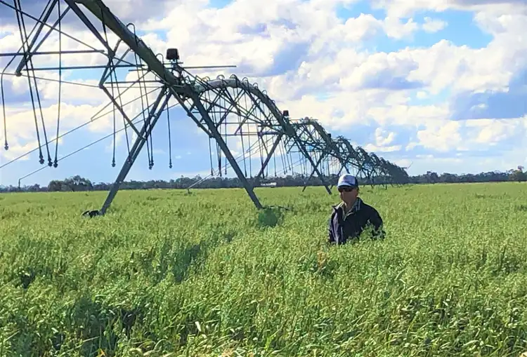 Third view of Homely rural property listing, "Netherby" Cobb Hwy, Deniliquin NSW 2710