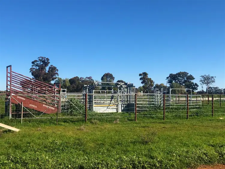 Third view of Homely rural property listing, "Kensington Park" Claremont Rd, Deniliquin NSW 2710