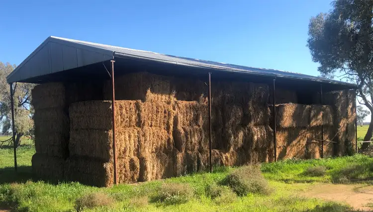 Fourth view of Homely rural property listing, "Kensington Park" Claremont Rd, Deniliquin NSW 2710