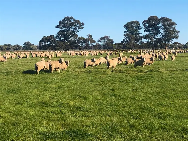 Fifth view of Homely rural property listing, "Kensington Park" Claremont Rd, Deniliquin NSW 2710