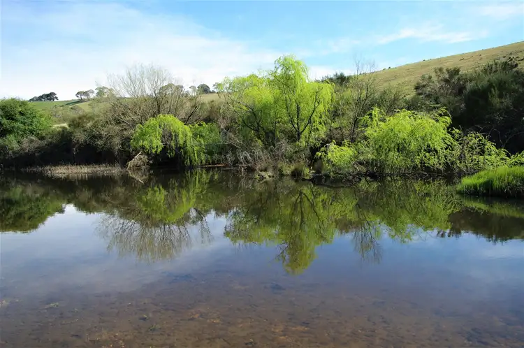 Main view of Homely rural property listing, 7 Sandy Creek Road, Bombala NSW 2632