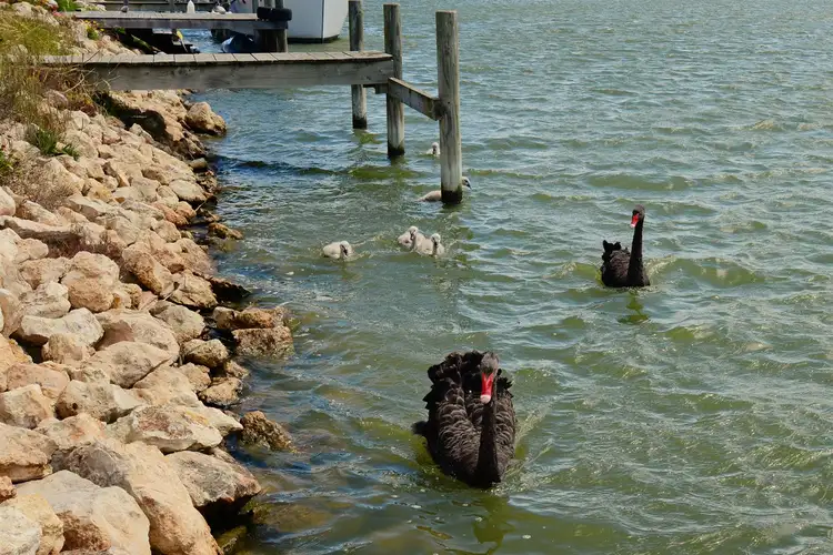 Seventh view of Homely land listing, 10 (Lot 17) Collet Drive, Hindmarsh Island SA 5214