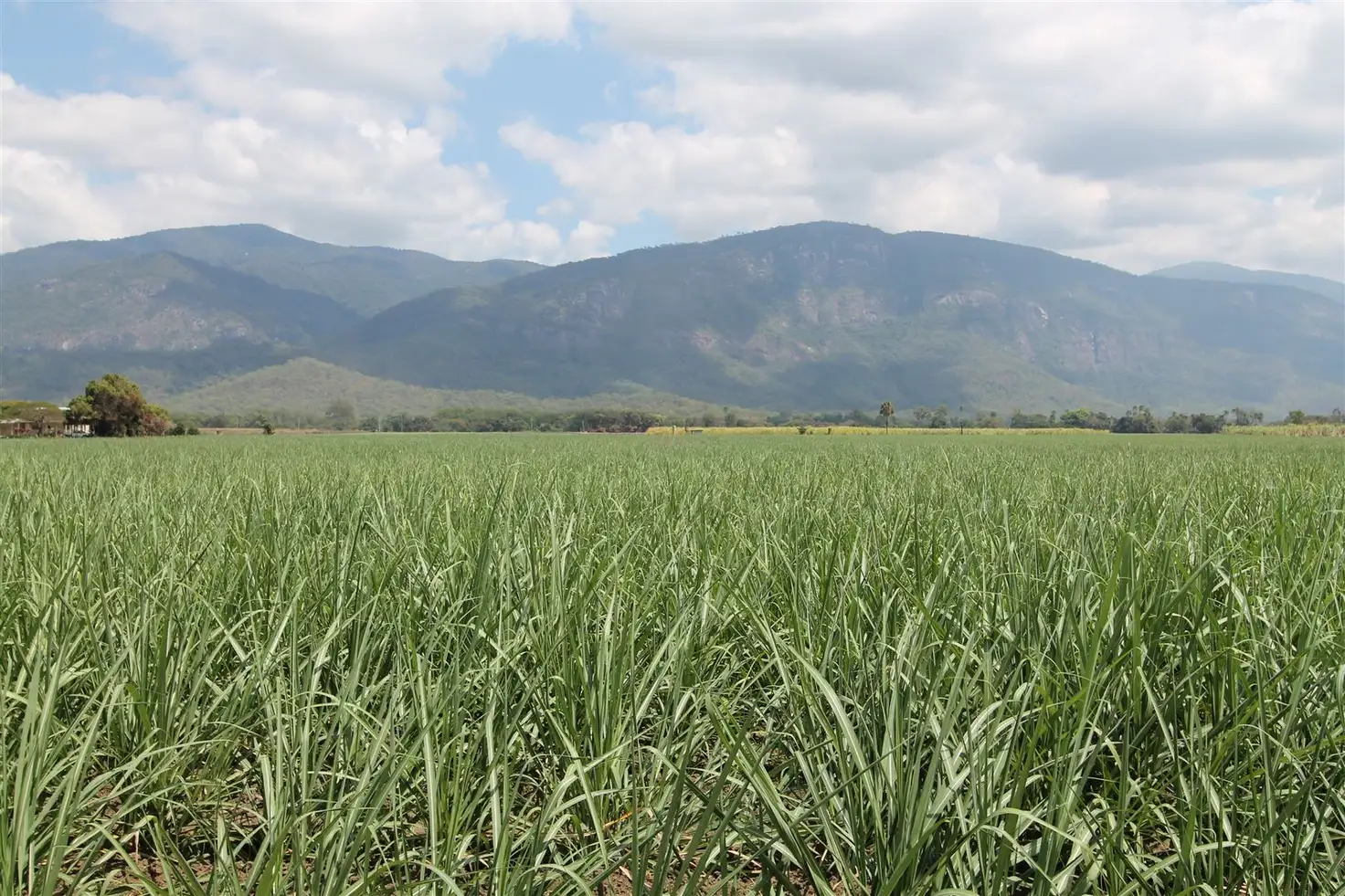 Main view of Homely rural property listing, Address available on request