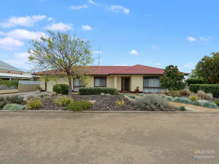Main view of Homely house listing, 41 Fourth Street, Minlaton SA 5575