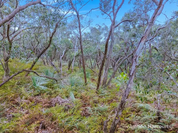 Fourth view of Homely rural property listing, A42 Dodd Road, Pages Flat SA 5172