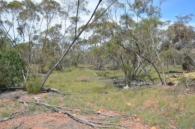 Fourth view of Homely rural property listing, * Glenhaven Park, Cobar NSW 2835