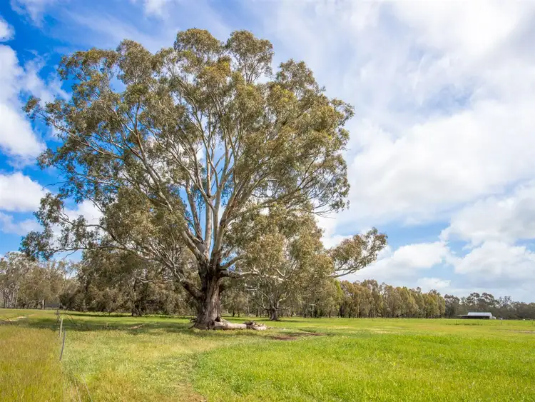 Third view of Homely rural property listing, 1 Billabong Lane, Violet Town VIC 3669