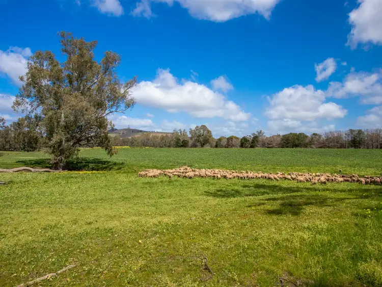 Fifth view of Homely rural property listing, 1 Billabong Lane, Violet Town VIC 3669