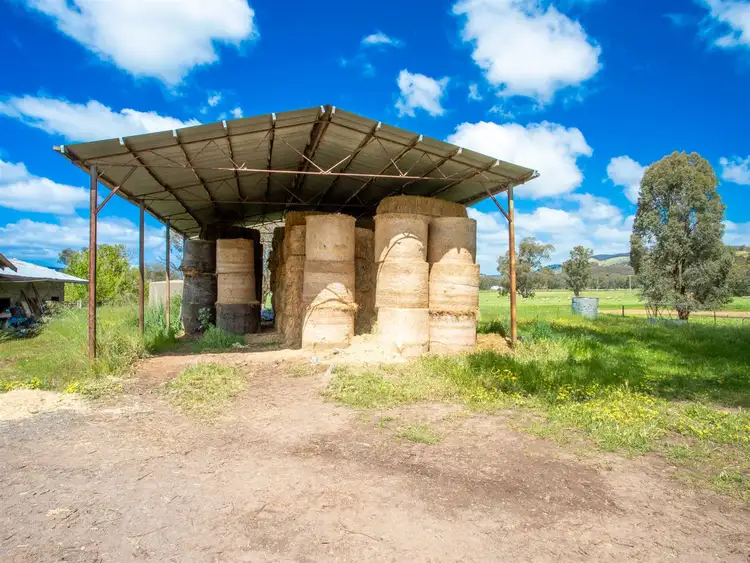 Sixth view of Homely rural property listing, 1 Billabong Lane, Violet Town VIC 3669
