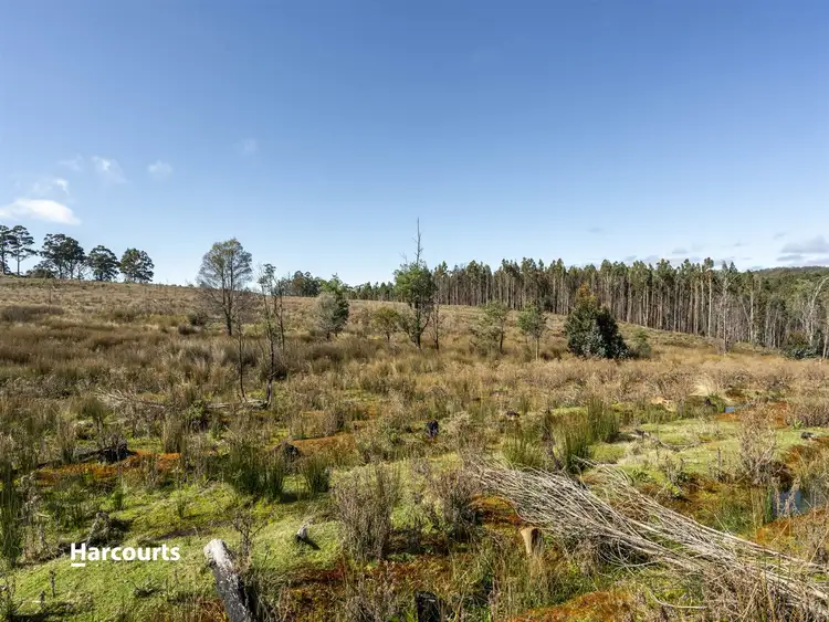 Seventh view of Homely land listing, Lot 1 Harwoods Road (Bay Link Road), Castle Forbes Bay TAS 7116