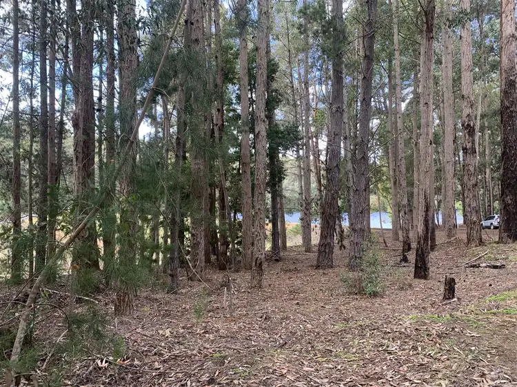 Main view of Homely land listing, 133 Karri Lane, Quinninup WA 6258
