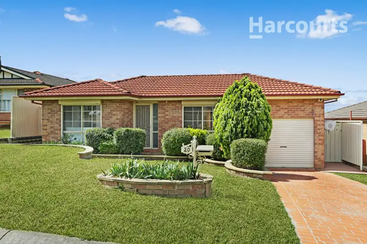 20 Skyfarmer Place, Raby NSW 2566