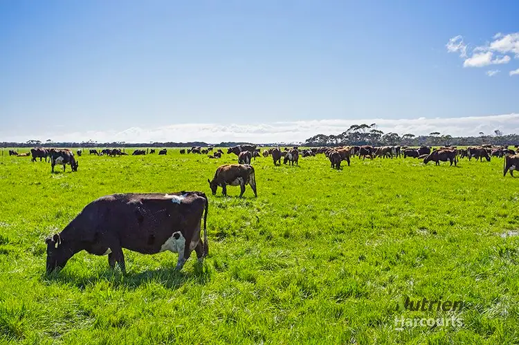 Fifth view of Homely rural property listing, 885 Montagu Road, Smithton TAS 7330
