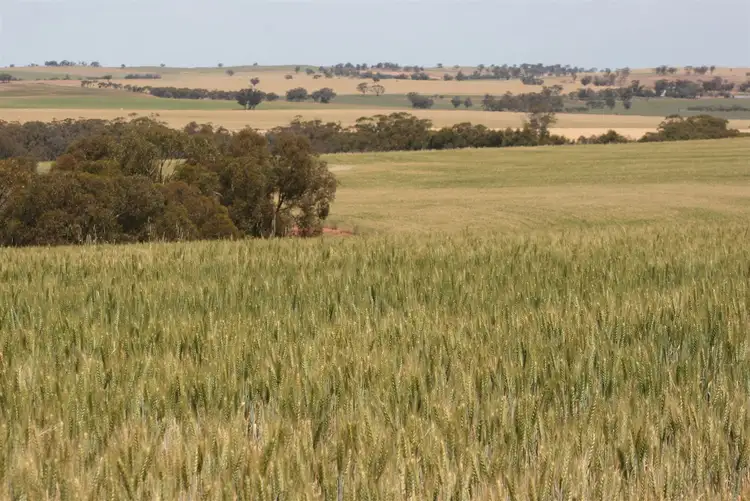 Third view of Homely rural property listing, Address available on request