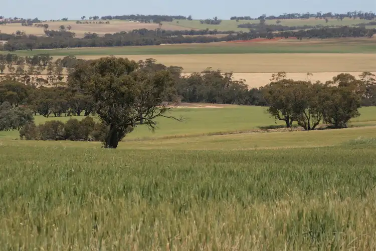 Fourth view of Homely rural property listing, Address available on request