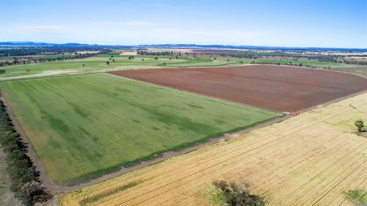 1200 Old Narrabri Road