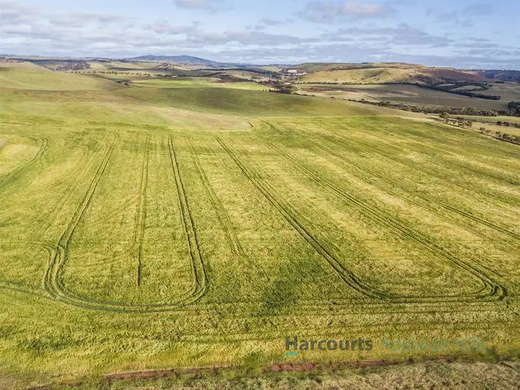 Fourth view of Homely rural property listing, 1002 Back Callington Road, Callington SA 5254