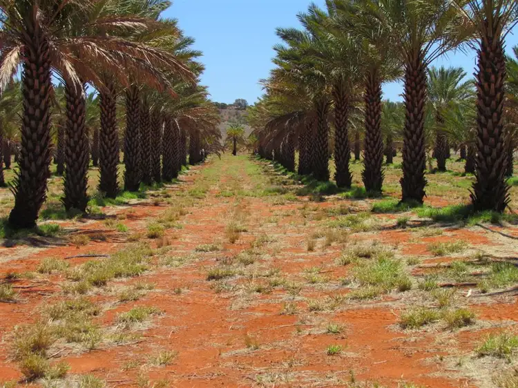 Main view of Homely rural property listing, . High River Stock Route, Alice Springs NT 870