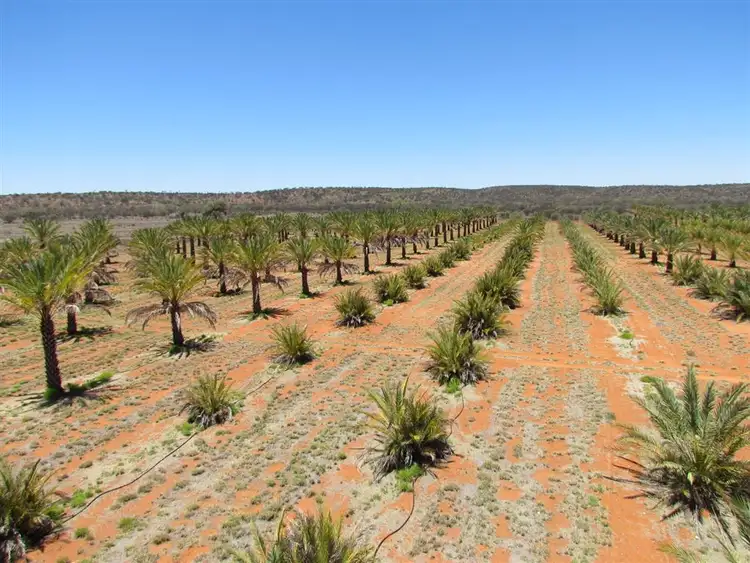 Second view of Homely rural property listing, . High River Stock Route, Alice Springs NT 870