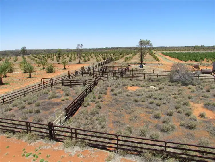 Seventh view of Homely rural property listing, . High River Stock Route, Alice Springs NT 870