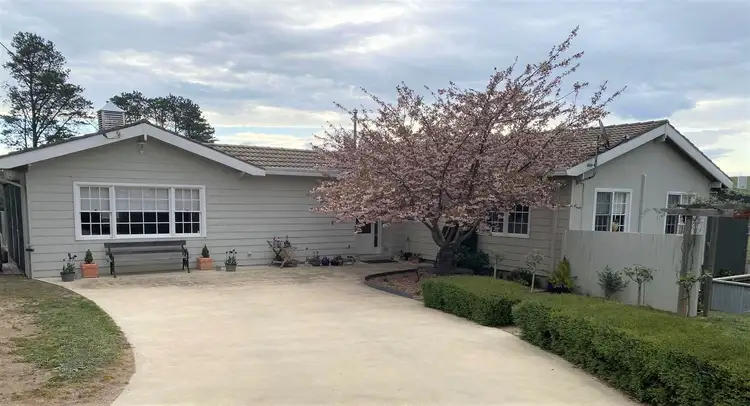Main view of Homely house listing, 223 Maybe Street, Bombala NSW 2632