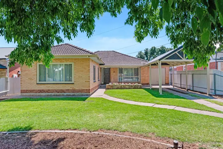 14 Ayers Avenue, Daw Park SA 5041