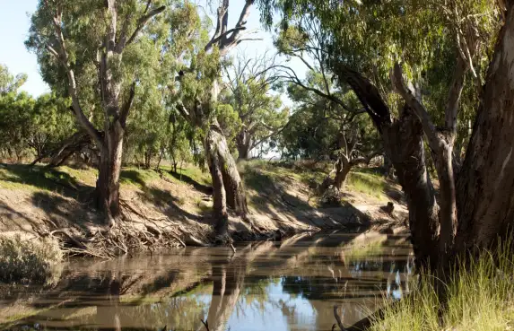 Third view of Homely rural property listing, "Yaloke" 8257.9ac First time offered in 100 years, Deniliquin NSW 2710