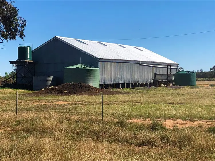 Fifth view of Homely rural property listing, "Yaloke" 8257.9ac First time offered in 100 years, Deniliquin NSW 2710