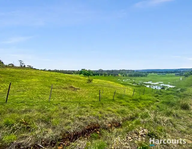 Seventh view of Homely rural property listing, 8 Dove Lane, Swansea TAS 7190