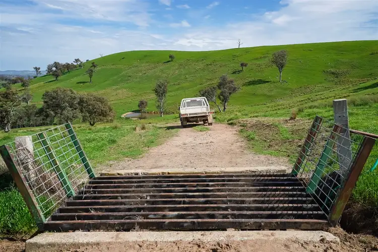 Third view of Homely rural property listing, 'Culbara' 1235 Annandayle Road, Woomargama NSW 2644