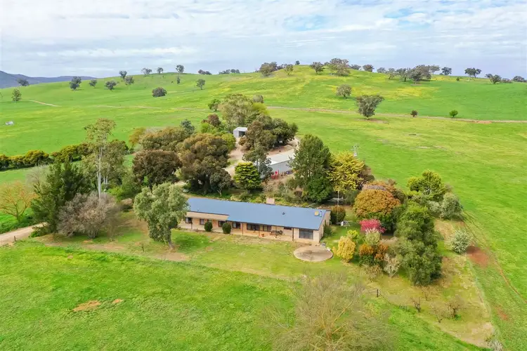 Fifth view of Homely rural property listing, 'Culbara' 1235 Annandayle Road, Woomargama NSW 2644