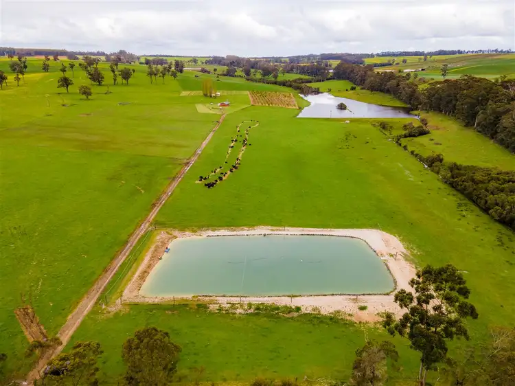 Main view of Homely rural property listing, 283 Mitchelldean Road, Manjimup WA 6258