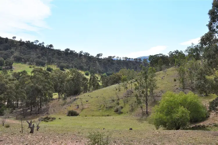 Main view of Homely rural property listing, 159 Cassilis Road, Swifts Creek VIC 3896