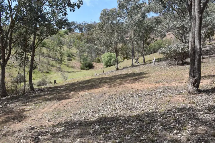 Third view of Homely rural property listing, 159 Cassilis Road, Swifts Creek VIC 3896