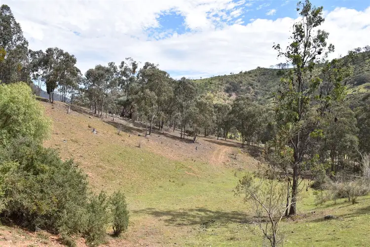 Sixth view of Homely rural property listing, 159 Cassilis Road, Swifts Creek VIC 3896