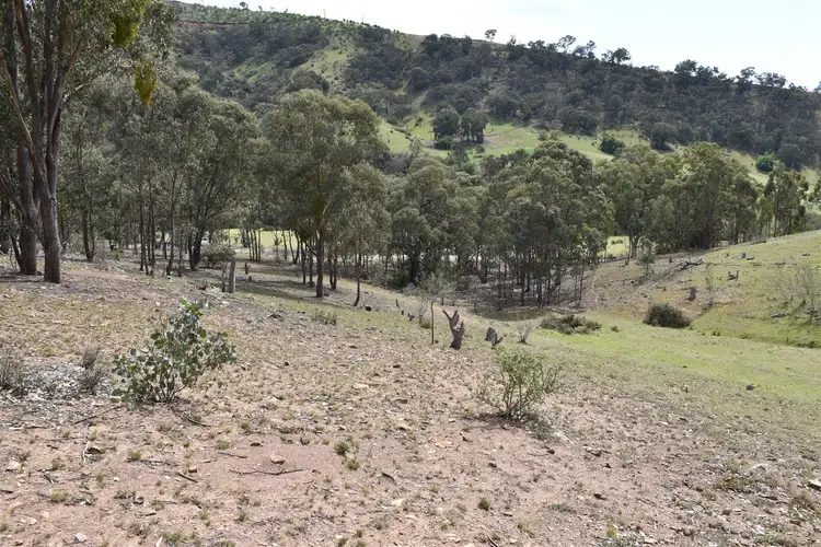 Seventh view of Homely rural property listing, 159 Cassilis Road, Swifts Creek VIC 3896