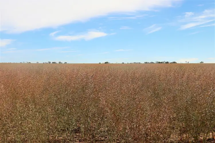 Second view of Homely rural property listing, Address available on request