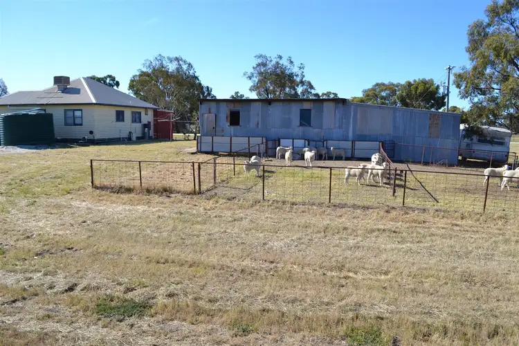 Main view of Homely rural property listing, 180 Hayman Lane, Kerang VIC 3579