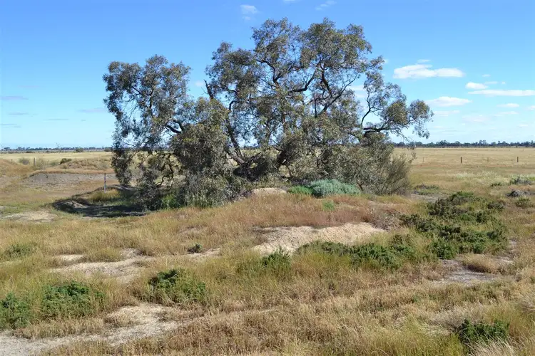 Seventh view of Homely rural property listing, 180 Hayman Lane, Kerang VIC 3579