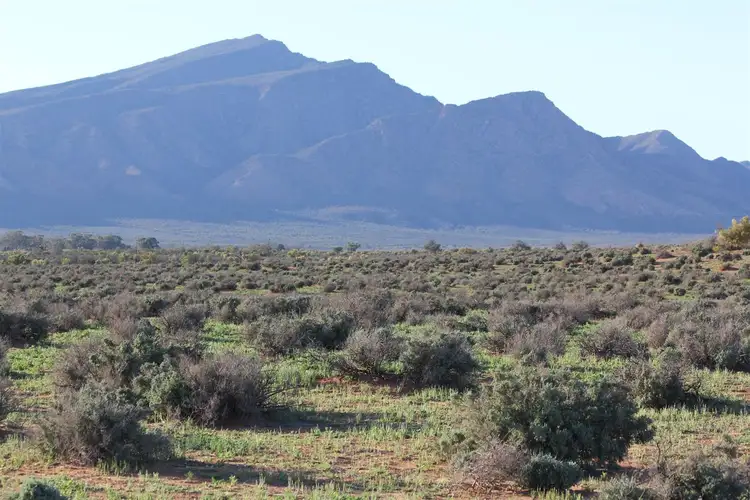 Fifth view of Homely rural property listing, " Edeowie Station", Hawker SA 5434