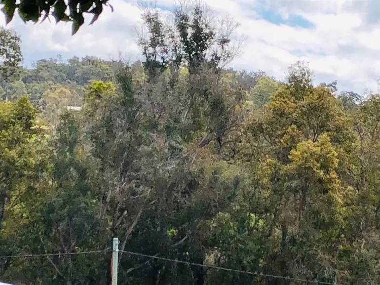 Sixth view of Homely land listing, 4 Brockman St, Bridgetown WA 6255