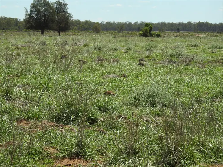 Main view of Homely rural property listing, 688 Burra Burri Darr Creek Rd, Darr Creek QLD 4413