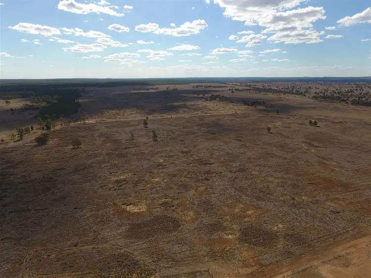 Fourth view of Homely rural property listing, 688 Burra Burri Darr Creek Rd, Darr Creek QLD 4413