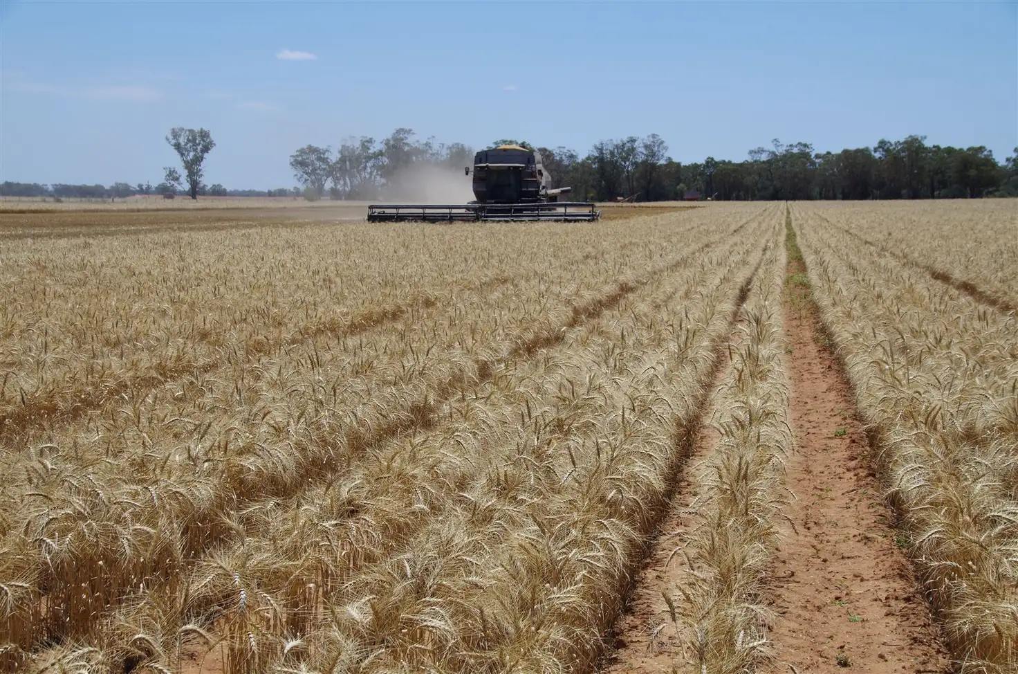 Main view of Homely rural property listing, 2552 Yarrie Lake Road, Wee Waa NSW 2388