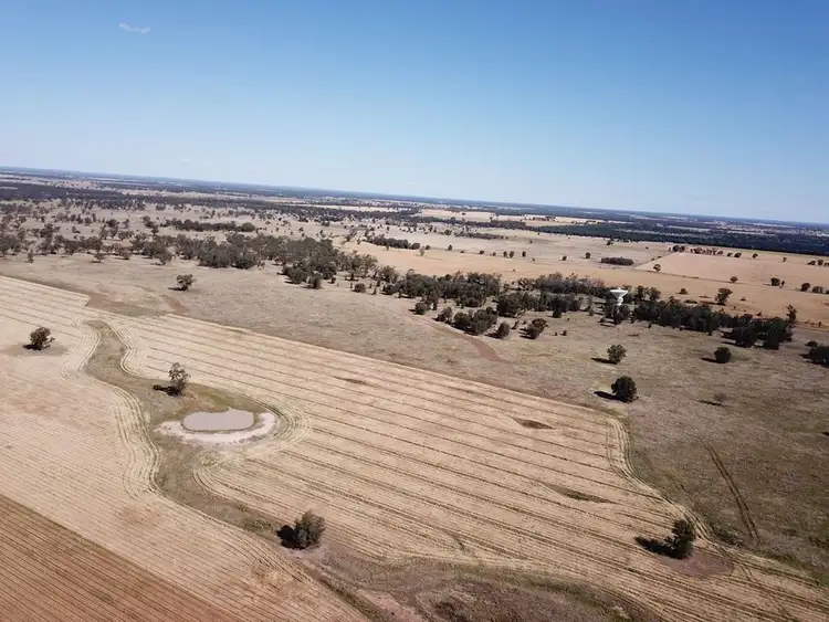 Seventh view of Homely rural property listing, 2552 Yarrie Lake Road, Wee Waa NSW 2388