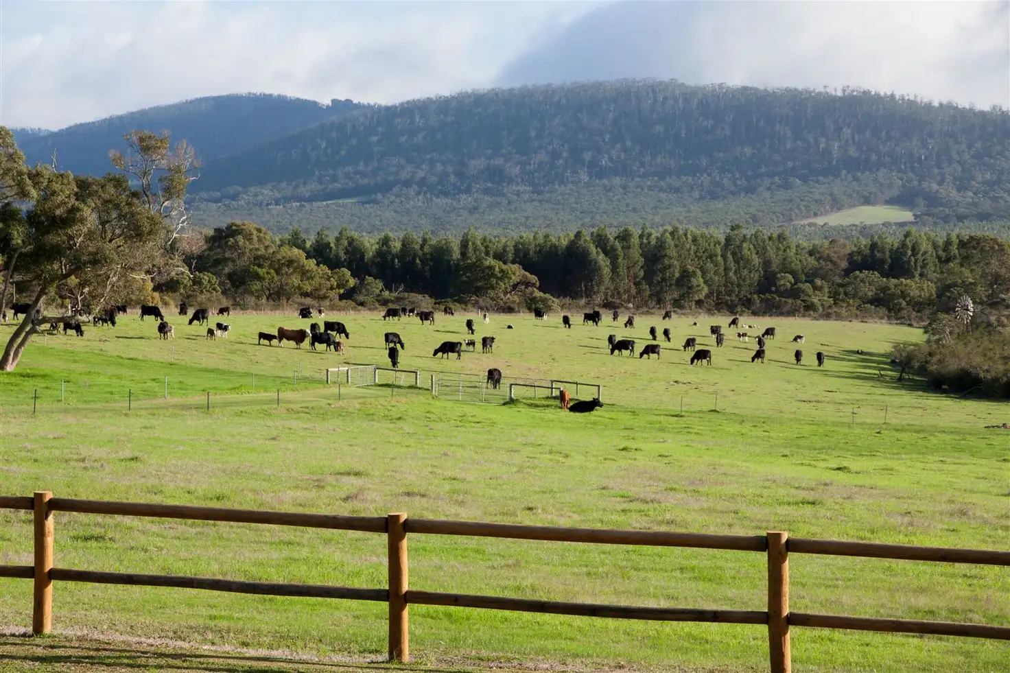 Main view of Homely rural property listing, 17 Halden Road, Porongurup WA 6324