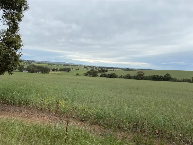 Main view of Homely rural property listing, "White's" Contact Agent, Riverton SA 5412