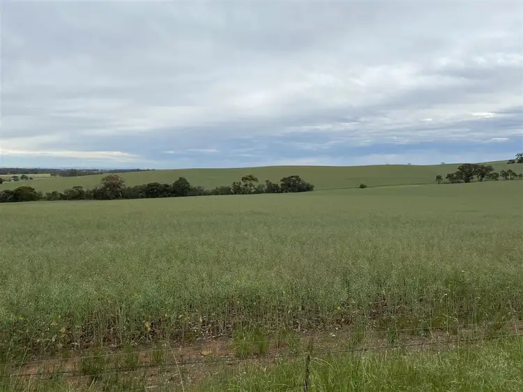 Second view of Homely rural property listing, "White's" Contact Agent, Riverton SA 5412